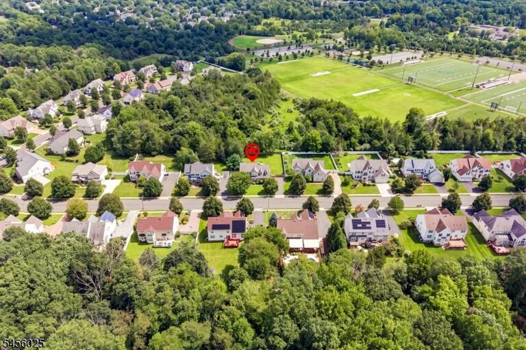 image-4048701-35.jpeg