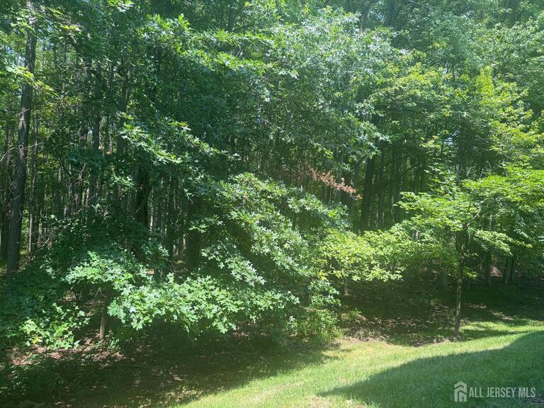 Photo 15 of 215 Prestwick Way, Edison NJ 08820, Edison, NJ
