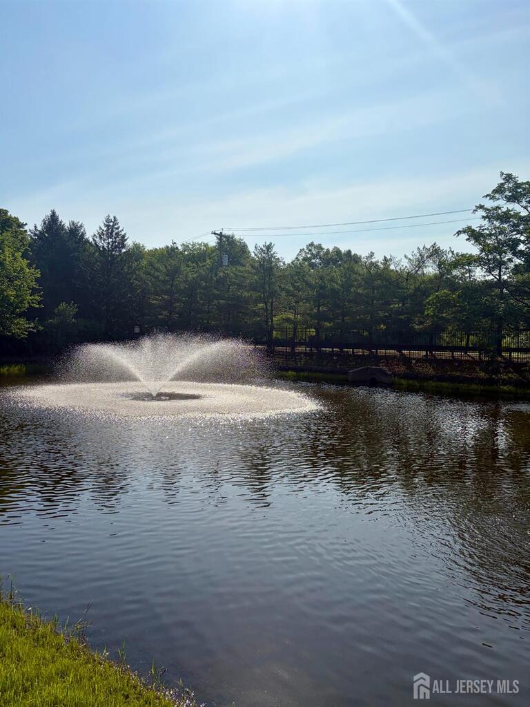 Photo 26 of 215 Prestwick Way, Edison NJ 08820, Edison, NJ