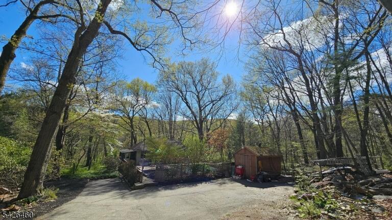 image-4023069-1.jpeg